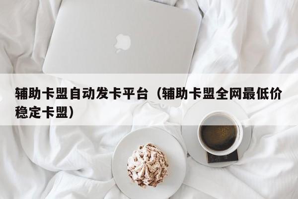 辅助卡盟自动发卡平台(辅助卡盟全网最低价稳定卡盟)