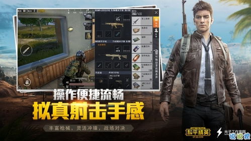 和平精英游戏脚本怎么运行,和平精英脚本是什么意思