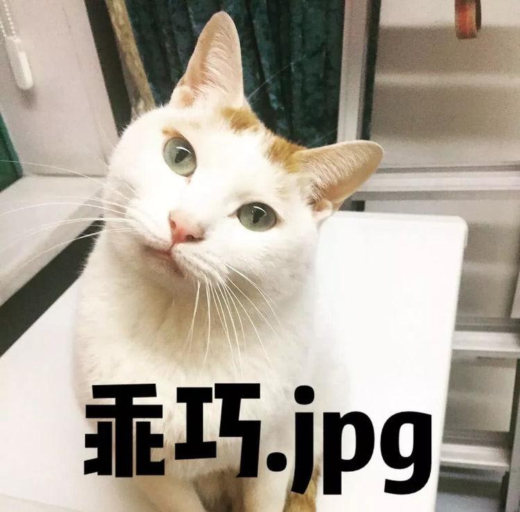 王者荣耀辅助-王者荣耀：6个辅助代表6个段位，庄周是钻石？(图5)