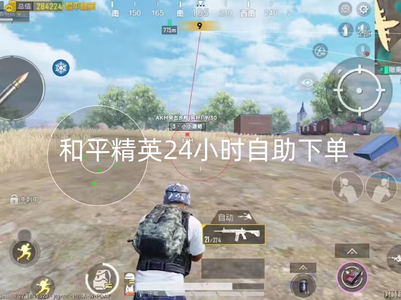 和平精英24小时自助下单.jpg
