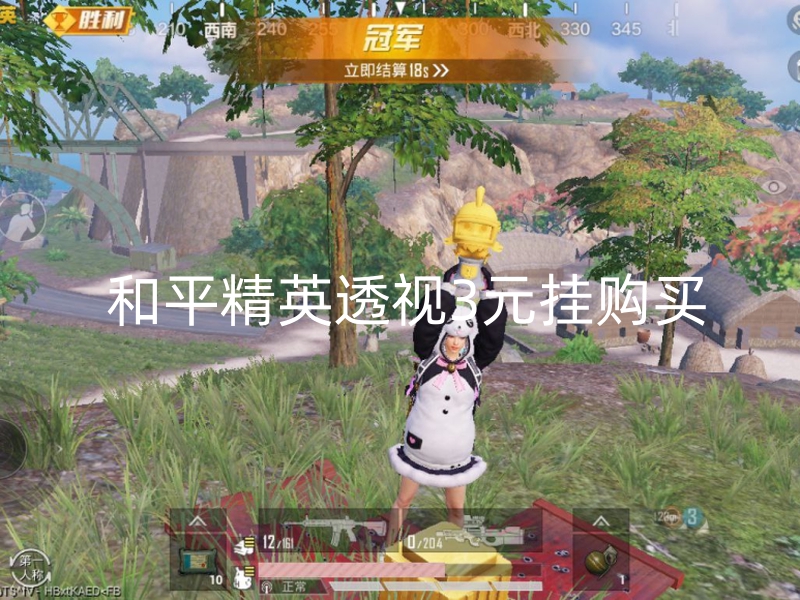 和平精英透视3元挂购买.jpg