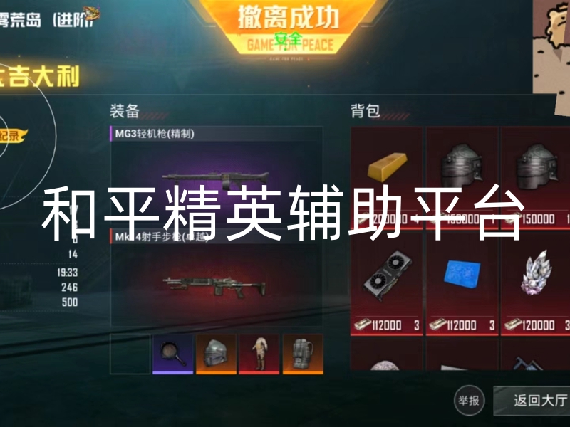和平精英辅助平台.jpg