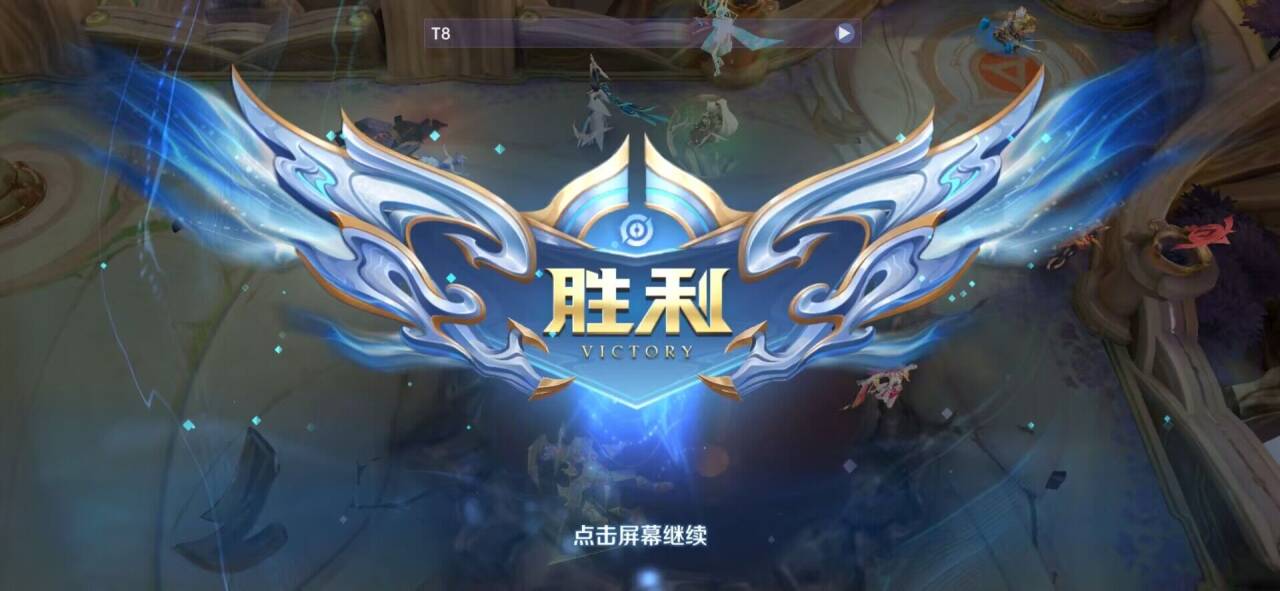 王者容器直装-t8
