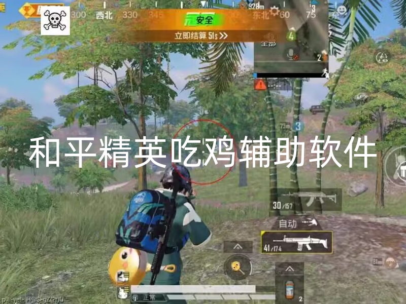 安全稳定和平精英吃鸡辅助软件，支持透视自瞄准，流畅防封号