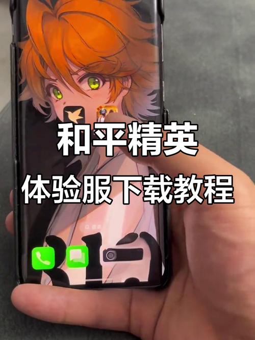 和平精英辅助版本下载苹果版安装_和平精英辅助器苹果版下载_和平精英苹果版辅助平台