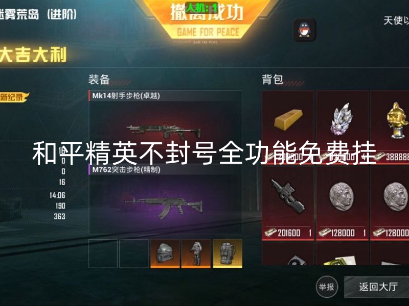 和平精英不封号全功能免费挂.jpg